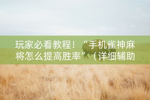 玩家必看教程！“手机雀神麻将怎么提高胜率”（详细辅助教程）-哔哩哔哩