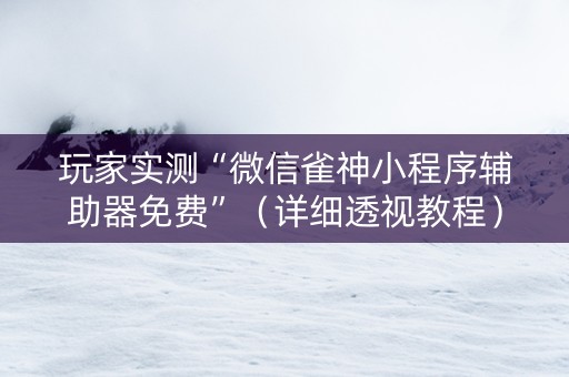 玩家实测“微信雀神小程序辅助器免费”（详细透视教程）-哔哩哔哩