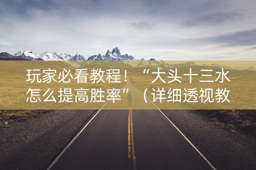 玩家必看教程！“大头十三水怎么提高胜率”（详细透视教程）-哔哩哔哩