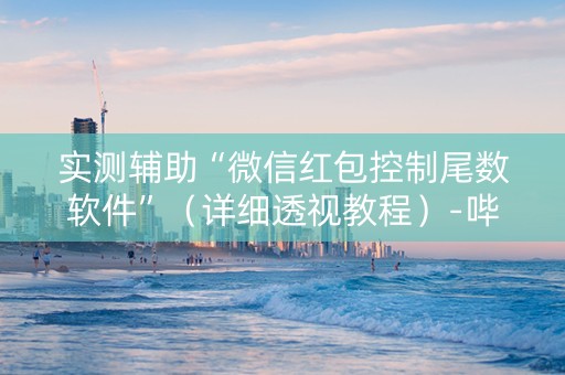 实测辅助“微信红包控制尾数软件”（详细透视教程）-哔哩哔哩