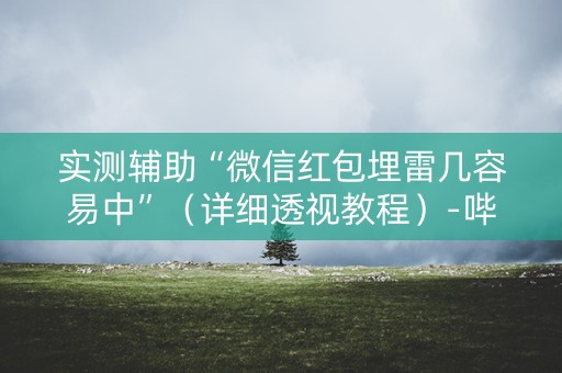实测辅助“微信红包埋雷几容易中”（详细透视教程）-哔哩哔哩