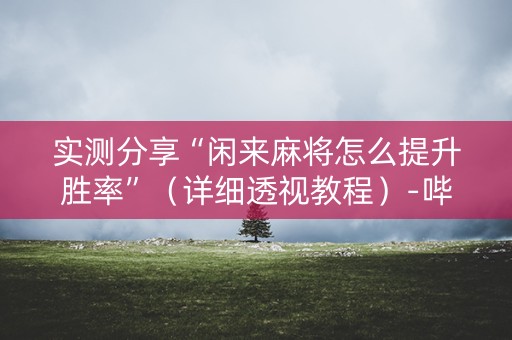 实测分享“闲来麻将怎么提升胜率”（详细透视教程）-哔哩哔哩
