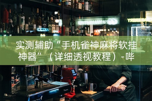 实测辅助“手机雀神麻将软挂神器”（详细透视教程）-哔哩哔哩
