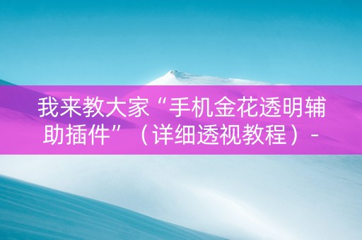 我来教大家“手机金花透明辅助插件”（详细透视教程）-哔哩哔哩