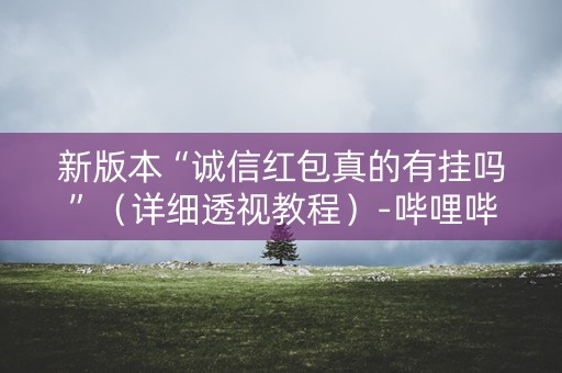 新版本“诚信红包真的有挂吗”（详细透视教程）-哔哩哔哩