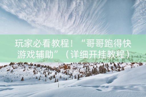 玩家必看教程！“哥哥跑得快游戏辅助”（详细开挂教程）-哔哩哔哩