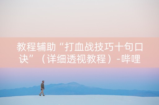 教程辅助“打血战技巧十句口诀”（详细透视教程）-哔哩哔哩