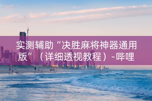 实测辅助“决胜麻将神器通用版”（详细透视教程）-哔哩哔哩
