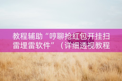 教程辅助“哼聊抢红包开挂扫雷埋雷软件”（详细透视教程）-哔哩哔哩