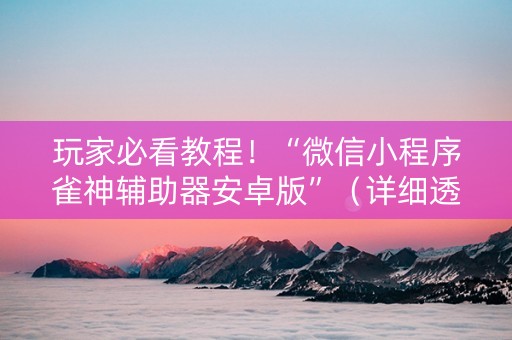 玩家必看教程！“微信小程序雀神辅助器安卓版”（详细透视教程）-哔哩哔哩