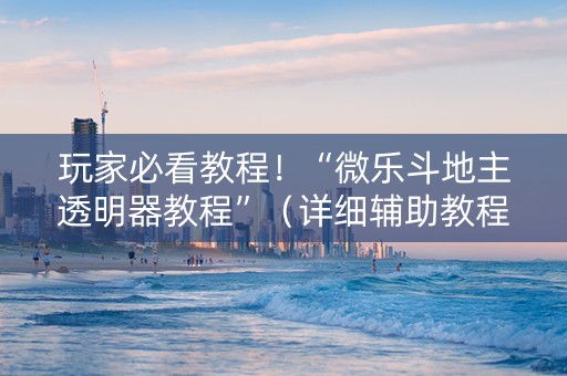 玩家必看教程！“微乐斗地主透明器教程”（详细辅助教程）-哔哩哔哩