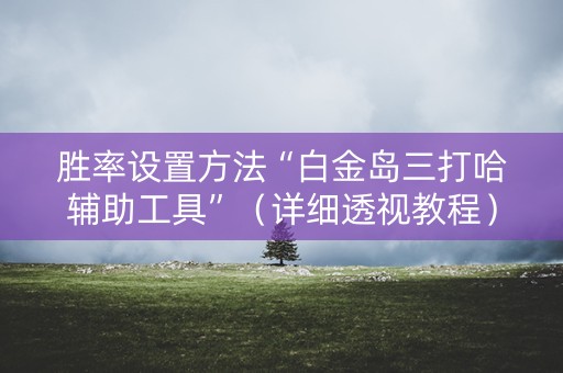胜率设置方法“白金岛三打哈辅助工具”（详细透视教程）-哔哩哔哩