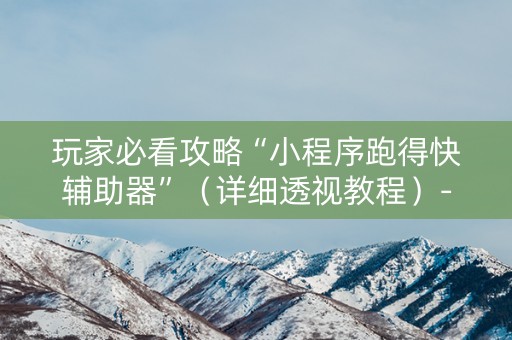 玩家必看攻略“小程序跑得快辅助器”（详细透视教程）-哔哩哔哩