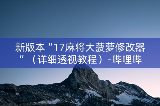 新版本“17麻将大菠萝修改器”（详细透视教程）-哔哩哔哩