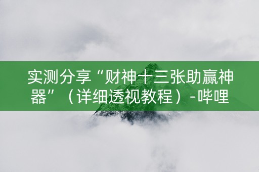 实测分享“财神十三张助赢神器”（详细透视教程）-哔哩哔哩
