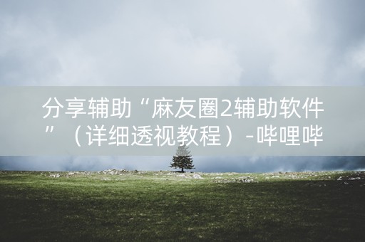 分享辅助“麻友圈2辅助软件”（详细透视教程）-哔哩哔哩