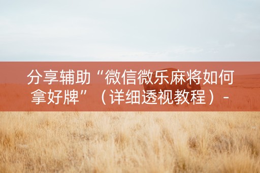 分享辅助“微信微乐麻将如何拿好牌”（详细透视教程）-哔哩哔哩