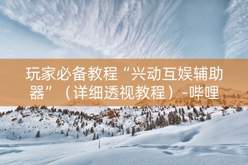 玩家必备教程“兴动互娱辅助器”（详细透视教程）-哔哩哔哩