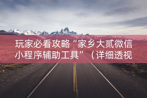 玩家必看攻略“家乡大贰微信小程序辅助工具”（详细透视教程）-哔哩哔哩