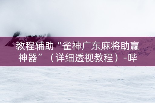 教程辅助“雀神广东麻将助赢神器”（详细透视教程）-哔哩哔哩