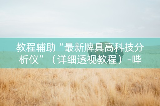 教程辅助“最新牌具高科技分析仪”（详细透视教程）-哔哩哔哩