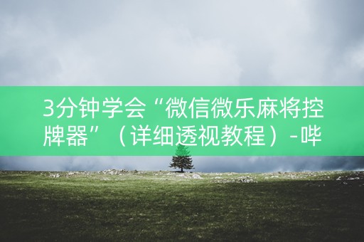 3分钟学会“微信微乐麻将控牌器”（详细透视教程）-哔哩哔哩