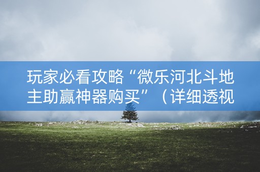 玩家必看攻略“微乐河北斗地主助赢神器购买”（详细透视教程）-哔哩哔哩