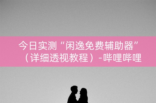 今日实测“闲逸免费辅助器”（详细透视教程）-哔哩哔哩