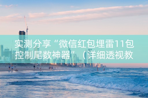 实测分享“微信红包埋雷11包控制尾数神器”（详细透视教程）-哔哩哔哩