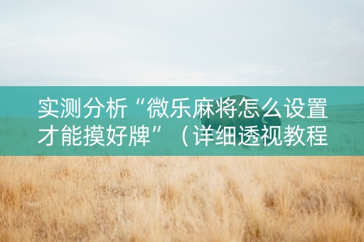 实测分析“微乐麻将怎么设置才能摸好牌”（详细透视教程）-哔哩哔哩