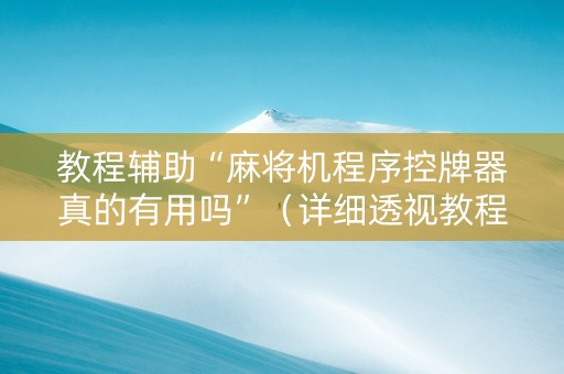 教程辅助“麻将机程序控牌器真的有用吗”（详细透视教程）-哔哩哔哩