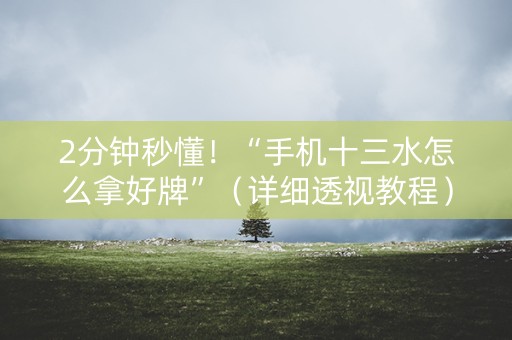 2分钟秒懂！“手机十三水怎么拿好牌”（详细透视教程）-哔哩哔哩