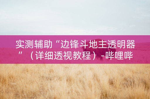 实测辅助“边锋斗地主透明器”（详细透视教程）-哔哩哔哩