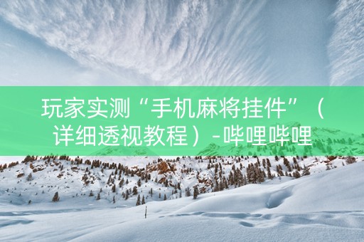 玩家实测“手机麻将挂件”（详细透视教程）-哔哩哔哩