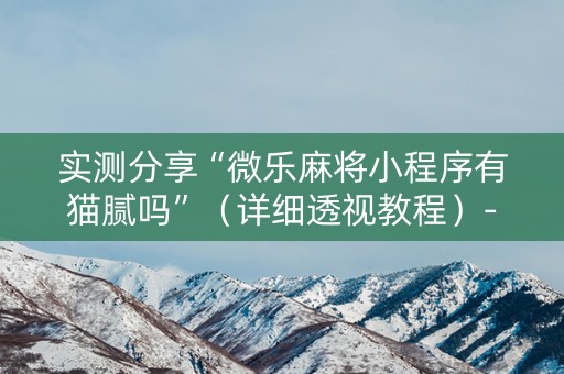 实测分享“微乐麻将小程序有猫腻吗”（详细透视教程）-哔哩哔哩