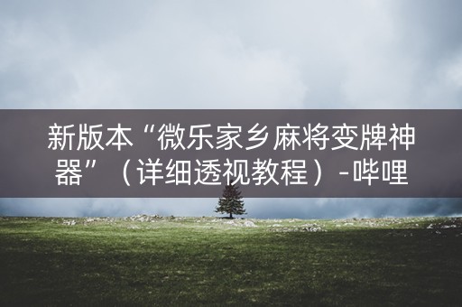 新版本“微乐家乡麻将变牌神器”（详细透视教程）-哔哩哔哩