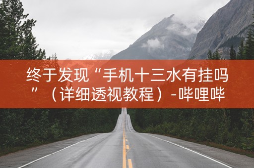 终于发现“手机十三水有挂吗”（详细透视教程）-哔哩哔哩