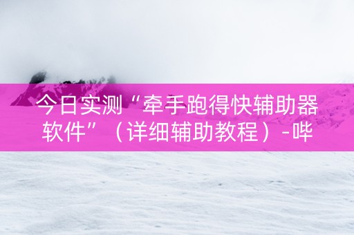 今日实测“牵手跑得快辅助器软件”（详细辅助教程）-哔哩哔哩