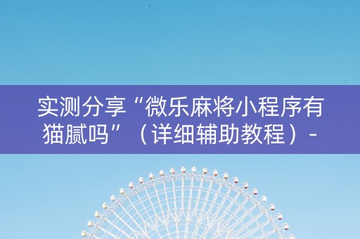 实测分享“微乐麻将小程序有猫腻吗”（详细辅助教程）-哔哩哔哩