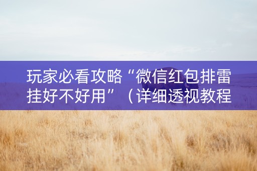 玩家必看攻略“微信红包排雷挂好不好用”（详细透视教程）-哔哩哔哩