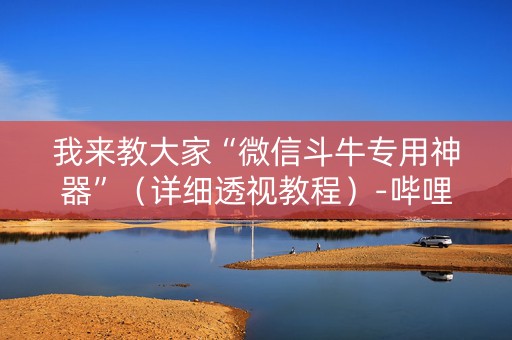 我来教大家“微信斗牛专用神器”（详细透视教程）-哔哩哔哩