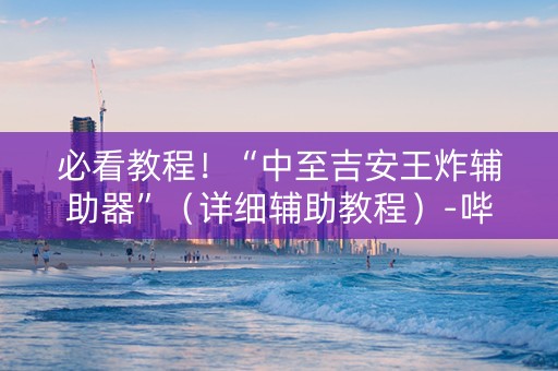 必看教程！“中至吉安王炸辅助器”（详细辅助教程）-哔哩哔哩