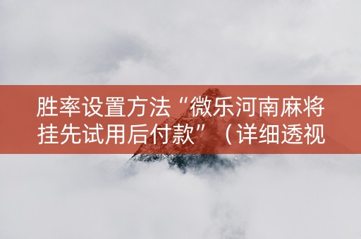 胜率设置方法“微乐河南麻将挂先试用后付款”（详细透视教程）-哔哩哔哩