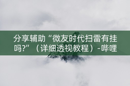 分享辅助“微友时代扫雷有挂吗?”（详细透视教程）-哔哩哔哩