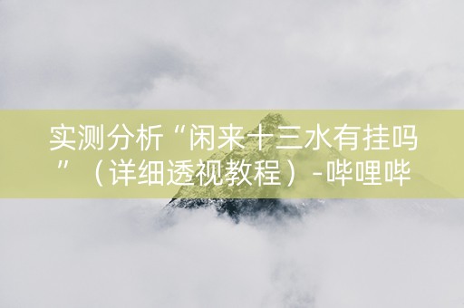 实测分析“闲来十三水有挂吗”（详细透视教程）-哔哩哔哩