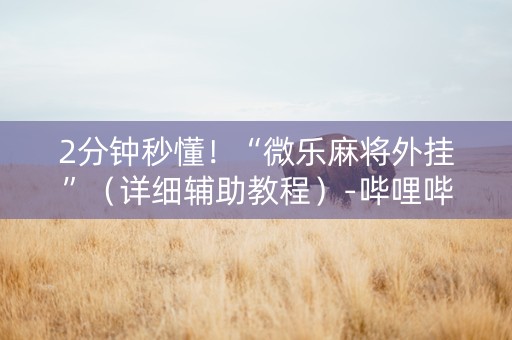 2分钟秒懂！“微乐麻将外挂”（详细辅助教程）-哔哩哔哩