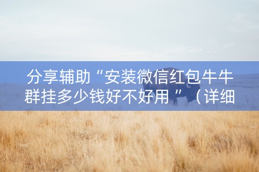 分享辅助“安装微信红包牛牛群挂多少钱好不好用 ”（详细透视教程）-哔哩哔哩
