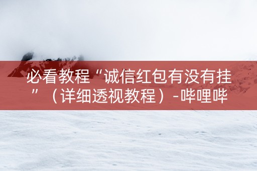 必看教程“诚信红包有没有挂”（详细透视教程）-哔哩哔哩