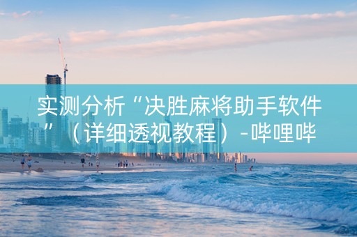 实测分析“决胜麻将助手软件”（详细透视教程）-哔哩哔哩