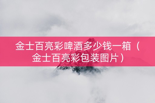 金士百亮彩啤酒多少钱一箱（金士百亮彩包装图片）